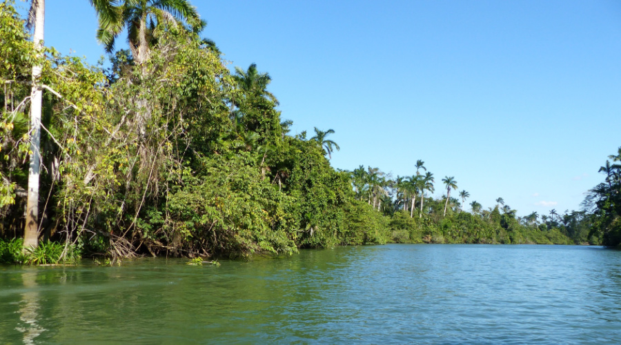 Botum Sakor National Park